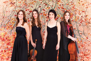 “the perfect expression” of the australian string quartet