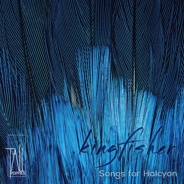 CD Release: Kingfisher – Songs For Halcyon