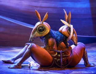 The Rabbits - Photography © Jon Green 