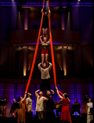 Image credit Steven Godbee