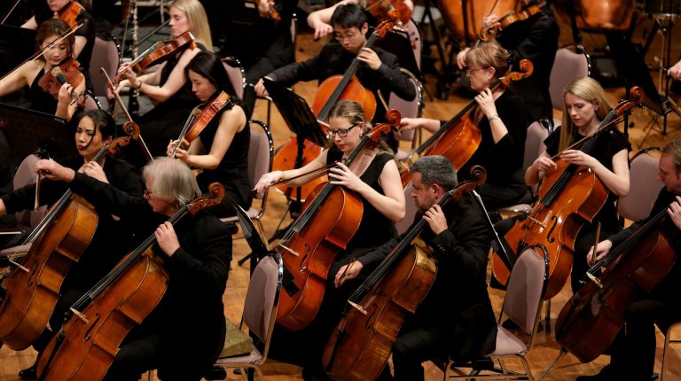 The Cellists Of The Metropolitan Orchestra