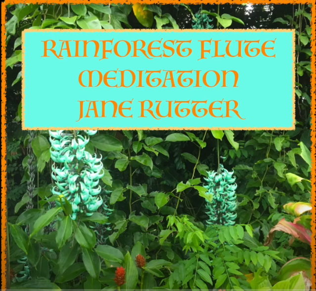 Jane Rutter’s Rainforest Flute Meditation On YouTube