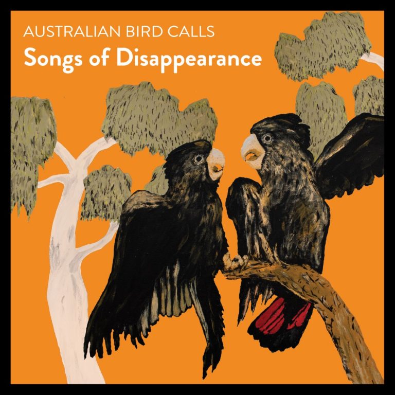 Album Release: Songs of Disappearance/ Bowerbird Collective