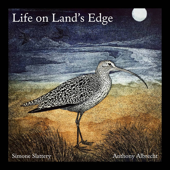 Album Review: Life On Land’s Edge/ Bowerbird Collective