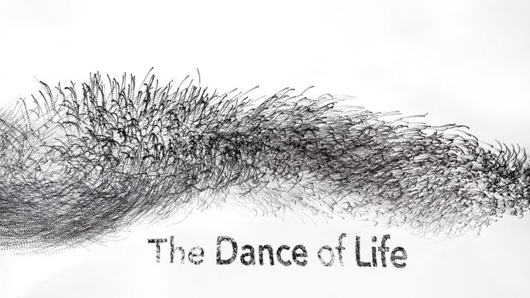 Halcyon presents The Dance of Life
